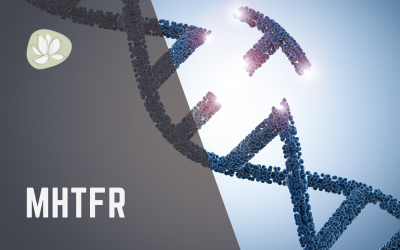 Understanding MTHFR and How to Support It Naturally