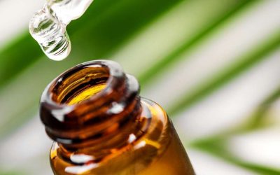 Why Essential Oils Should be in your Wellness Toolbox