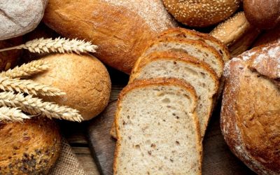 Modern wheat vs. ancient grains: Inflammation and how you can heal