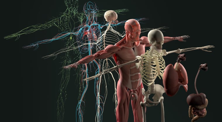 90 Days to clean eating