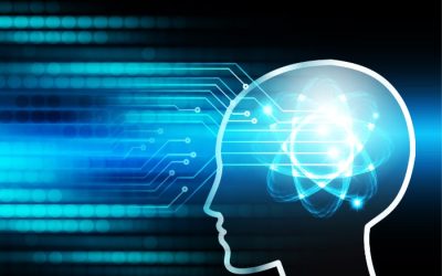 Understanding How Frequencies Affect Your Life