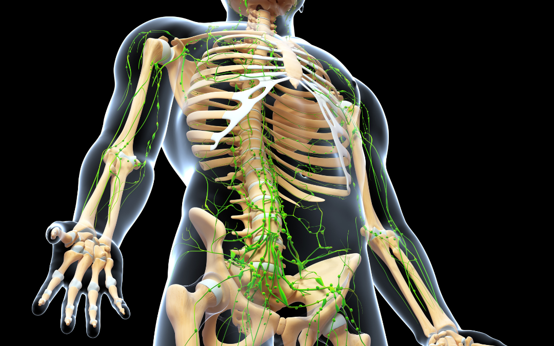 How Can You Detox One of Your Body’s Most Important Systems?