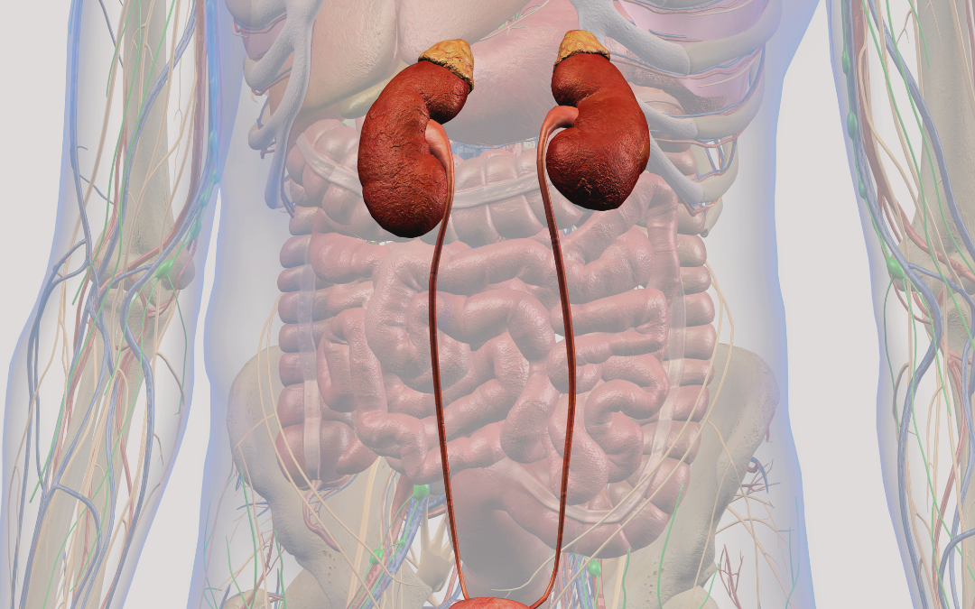 How to Get Rid of UTIs Once and For All