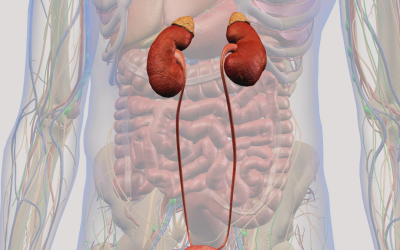 How to Get Rid of UTIs Once and For All