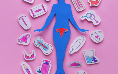 How to Get Pregnant (or not) and All the Other Stuff Your Mother Never Told You