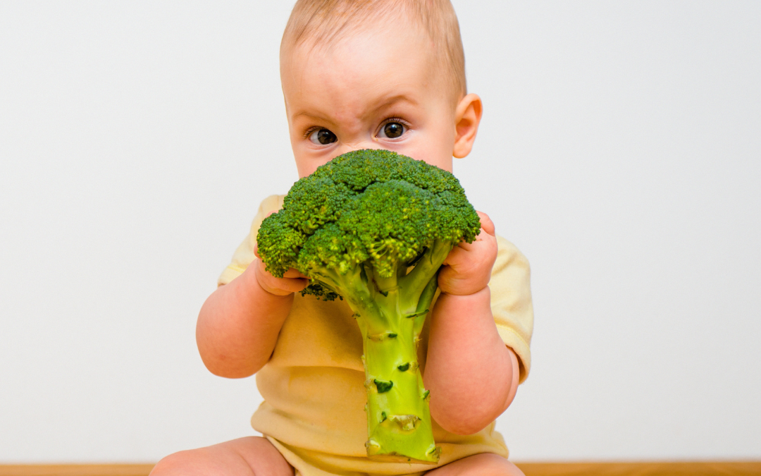 Introducing Solid Foods to Your Baby