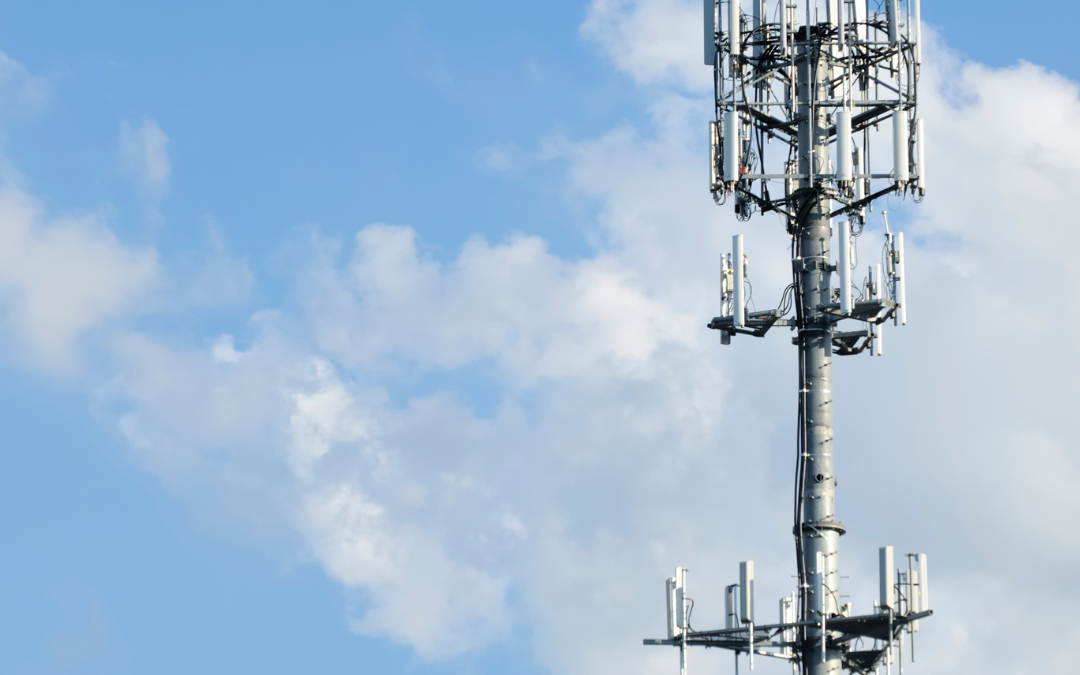 Naturally Protecting Yourself and Your Family from EMFs