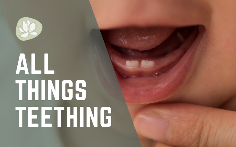 All Things Teething