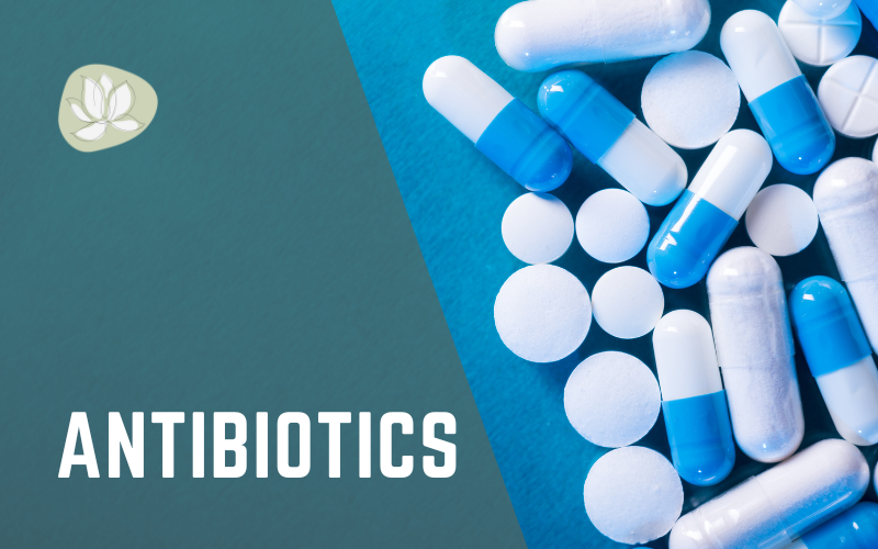 My Healthy Alternatives to Try before Taking Antibiotics